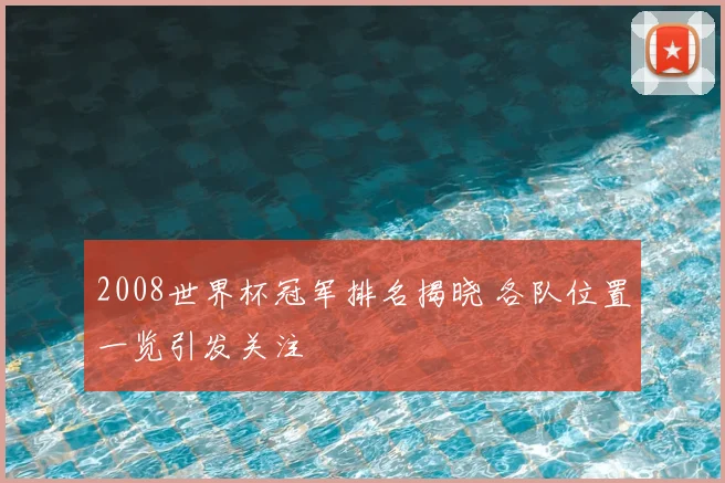 2008世界杯冠军排名揭晓 各队位置一览引发关注