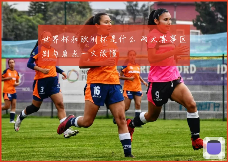 世界杯和欧洲杯是什么 两大赛事区别与看点一文读懂