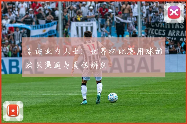 专访业内人士：世界杯比赛用球的购买渠道与真伪辨别