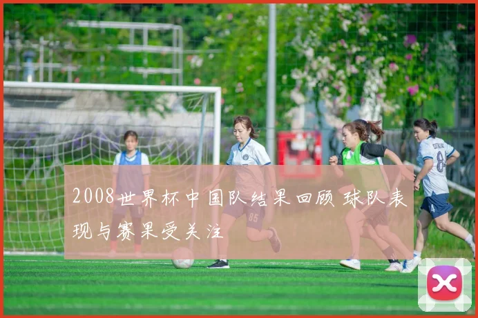 2008世界杯中国队结果回顾 球队表现与赛果受关注