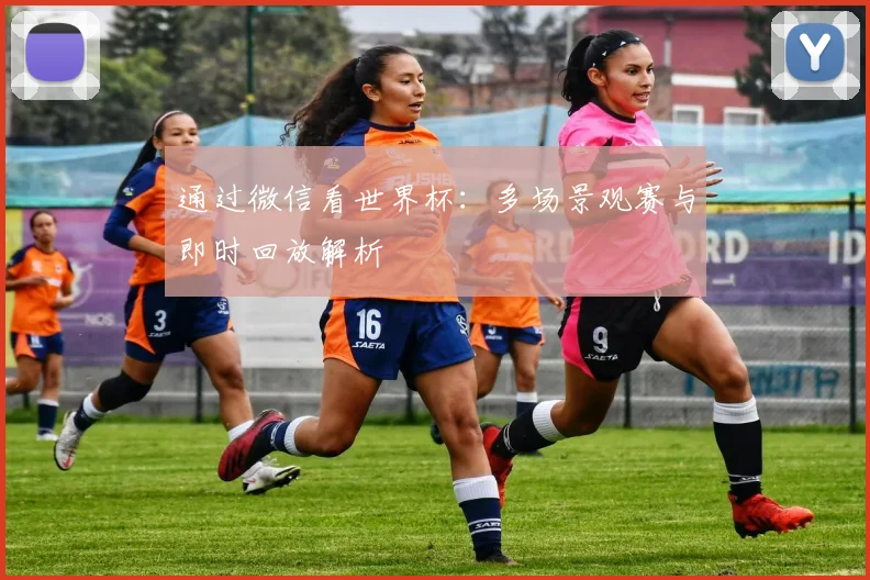 通过微信看世界杯：多场景观赛与即时回放解析
