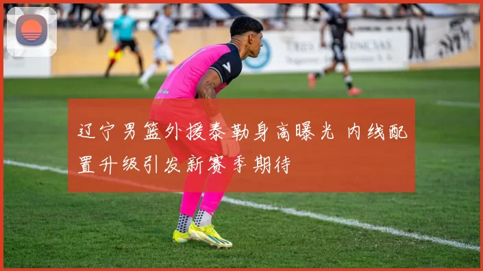 辽宁男篮外援泰勒身高曝光 内线配置升级引发新赛季期待